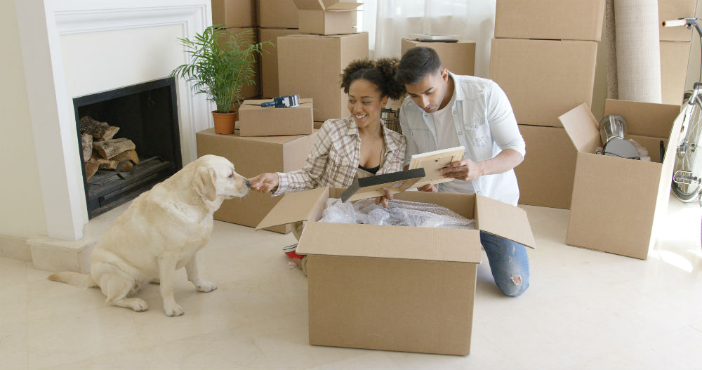 tips for moving with pets